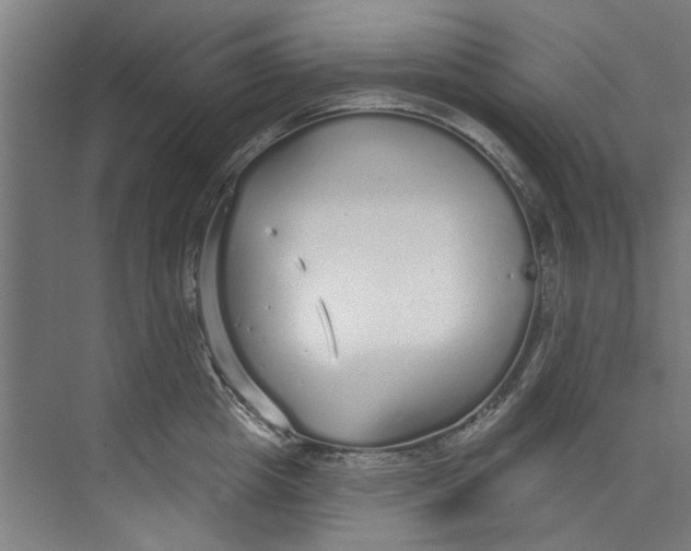 X0000073520857200608281731