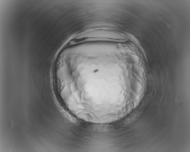 X0000073520859200608281731