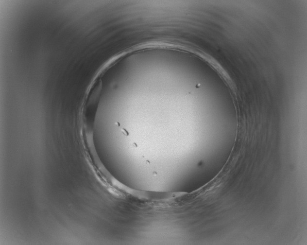 X0000073520862200608281731