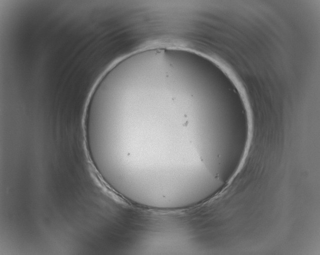 X0000073520864200608281731