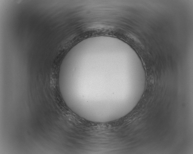 X0000073520869200608281730