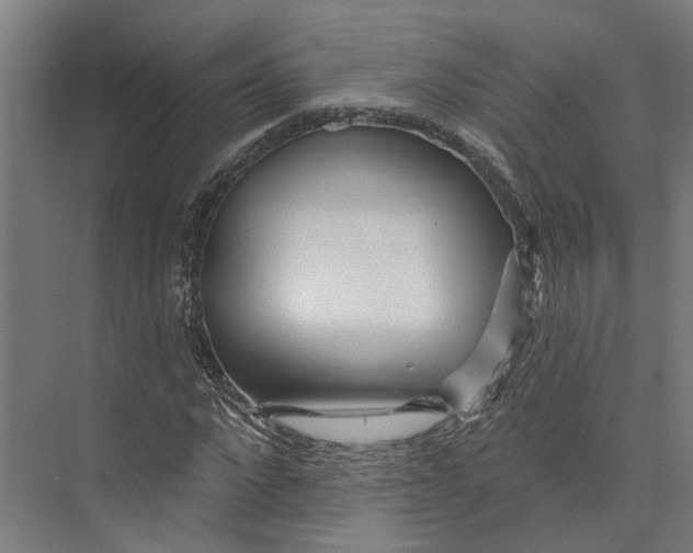 X0000073520872200608281730