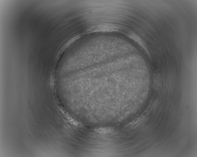 X0000073520874200608281730