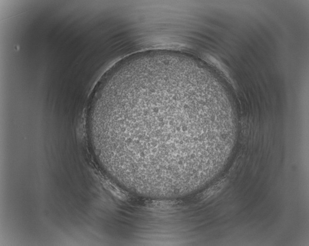 X0000073520875200608281730