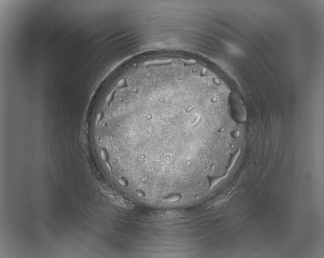 X0000073520879200608281730