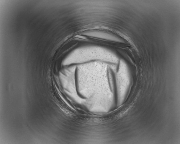 X0000073520881200608281730