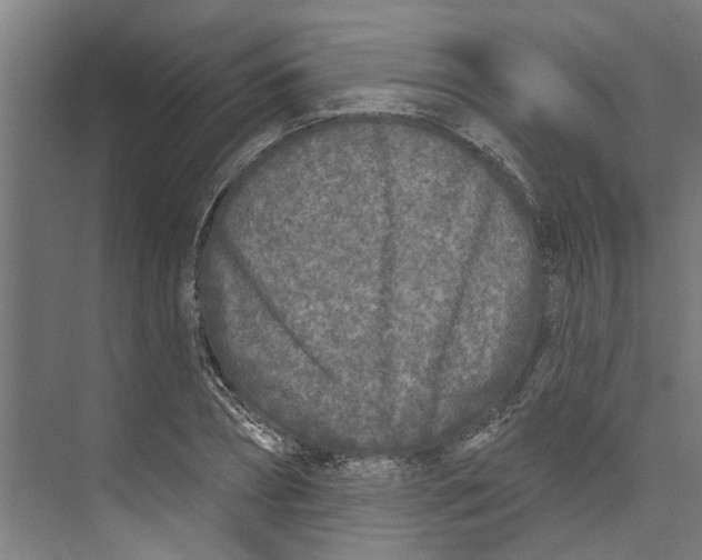 X0000073520882200608281730