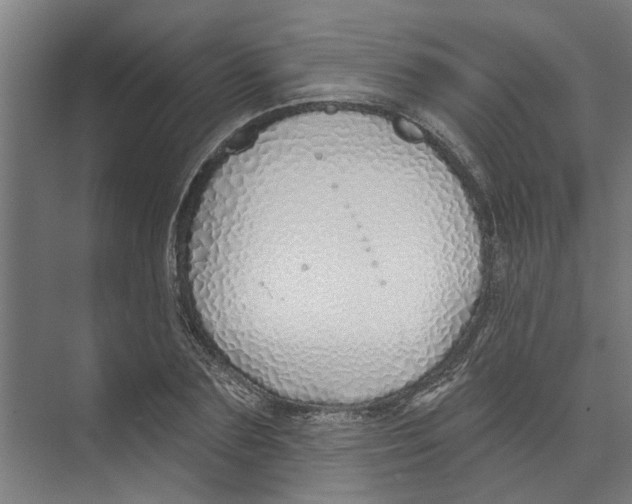 X0000073520883200608281730