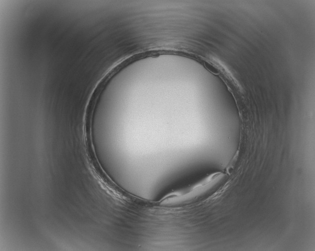 X0000073520884200608281730