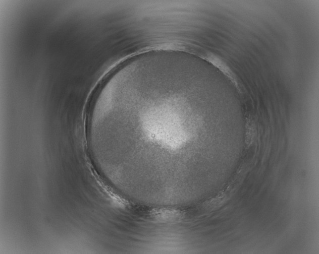 X0000073520886200608281730