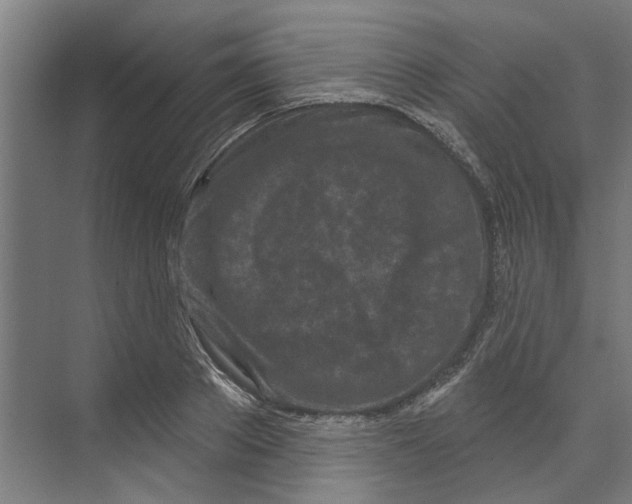 X0000073520889200608281730