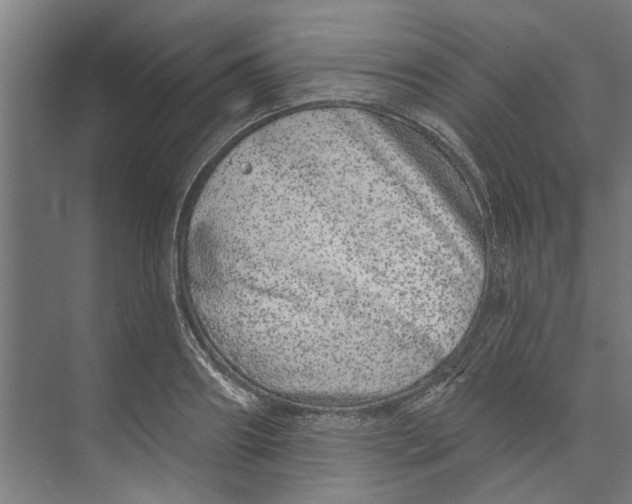 X0000073520890200608281730