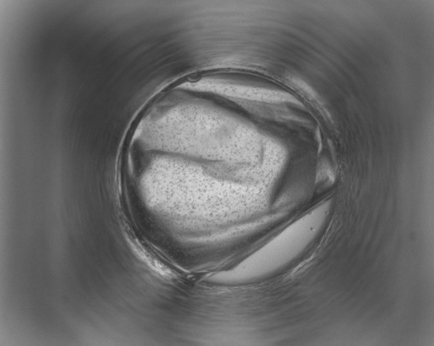 X0000073520892200608281730