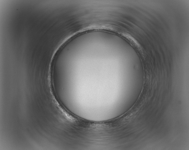 X0000073520894200608281730