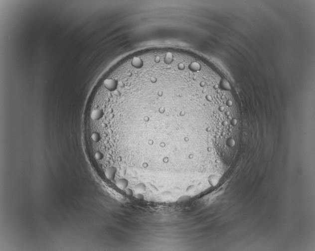 X0000073520895200608281730