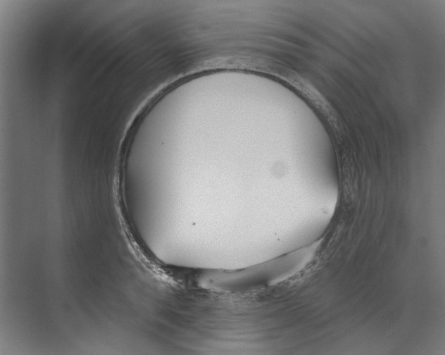 X0000073520896200608281730