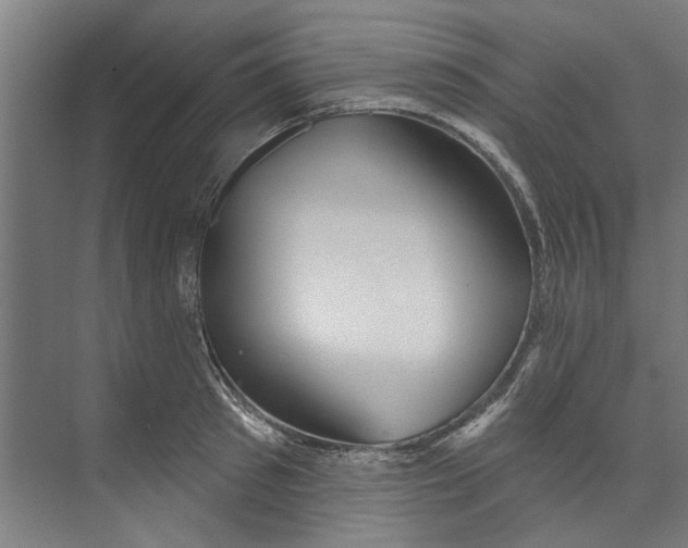 X0000073520897200608281730