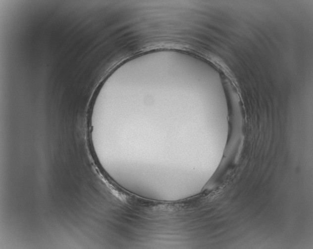 X0000073520898200608281730