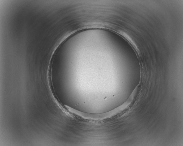 X0000073520901200608281730