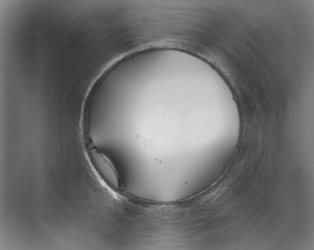 X0000073520902200608281730