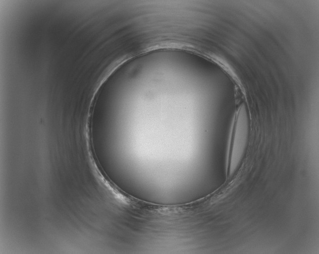 X0000073520906200608281730