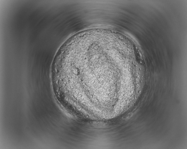 X0000073520907200608281730