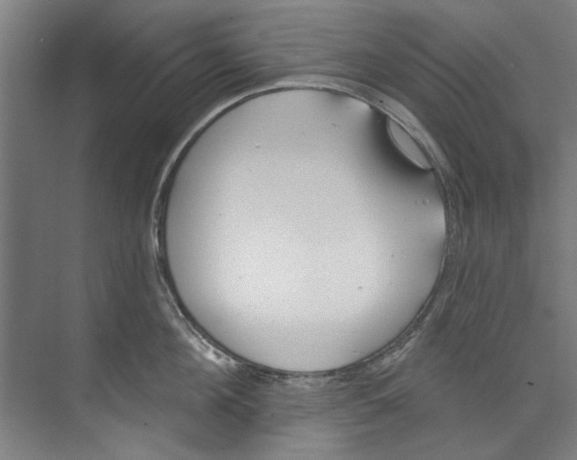 X0000073520908200608281730