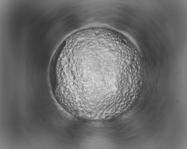 X0000073520911200608281730