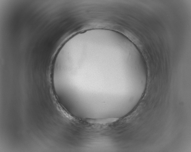 X0000073520912200608281730