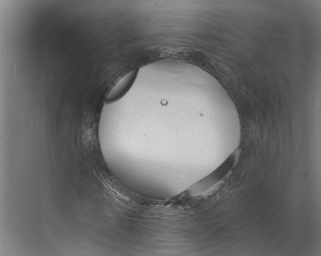 X0000073520914200608281729