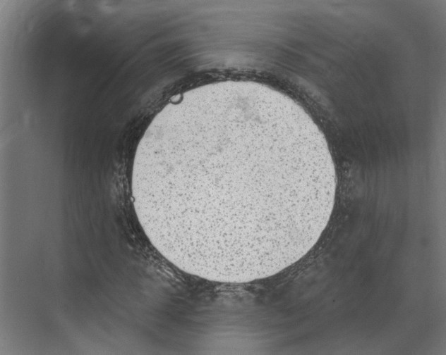 X0000073520918200608281729