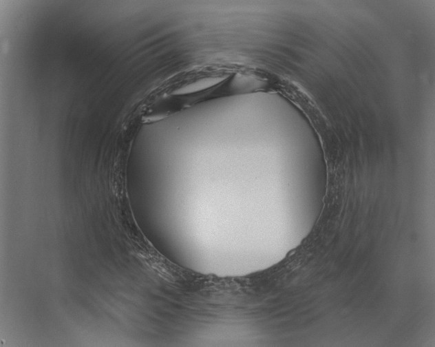 X0000073520919200608281729