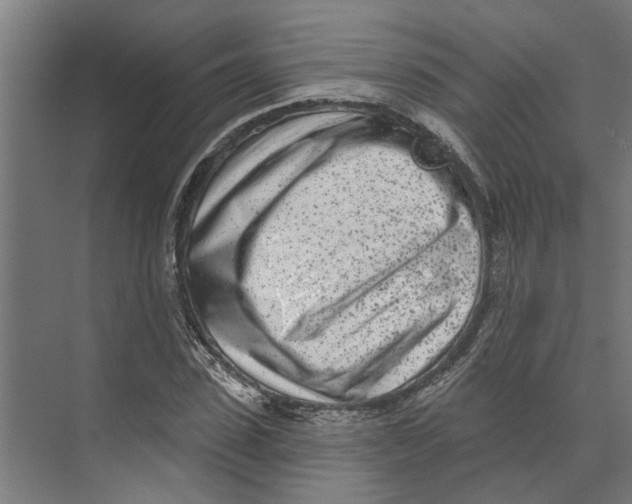 X0000073520923200608281729