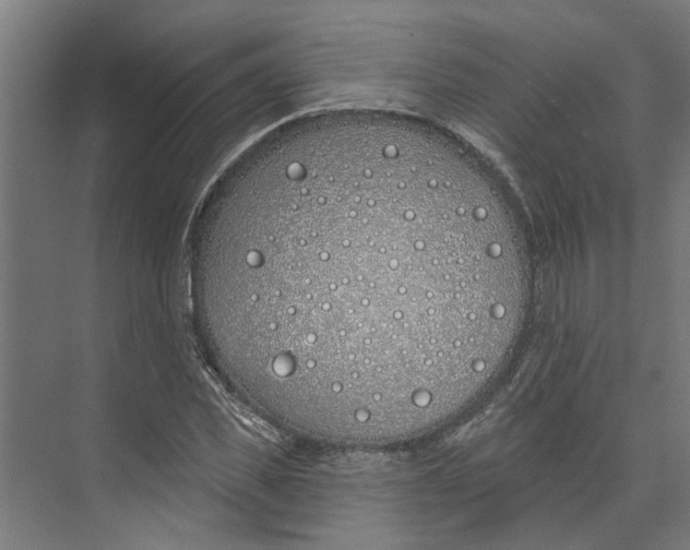 X0000073520925200608281729