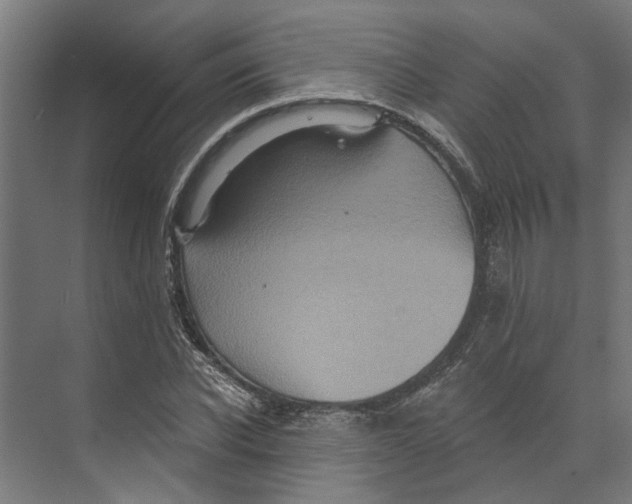 X0000073520926200608281729