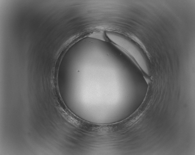 X0000073520930200608281729