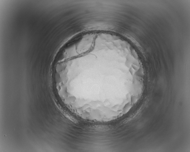 X0000073520933200608281729