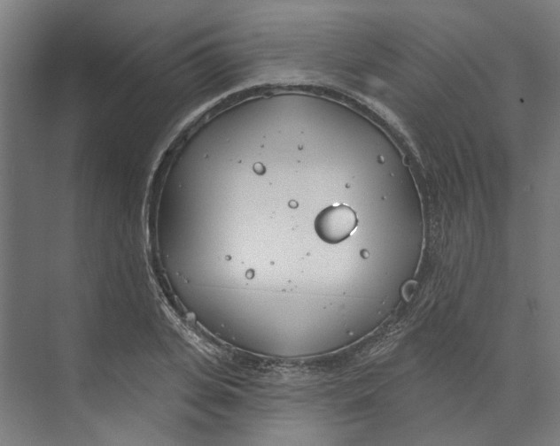 X0000073520935200608281729