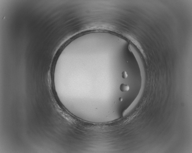 X0000073520936200608281729