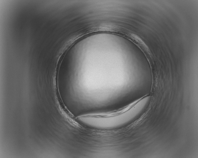 X0000073520938200608281729