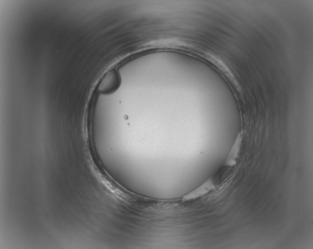 X0000073520939200608281729