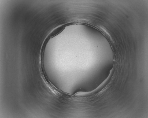 X0000073520940200608281729