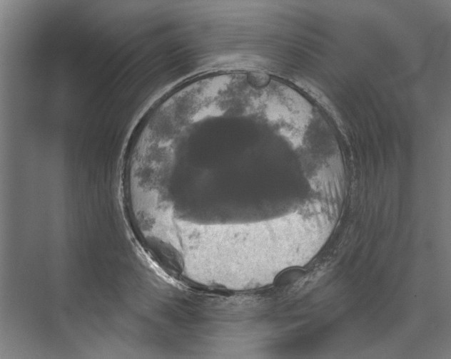 X0000073520941200608281729