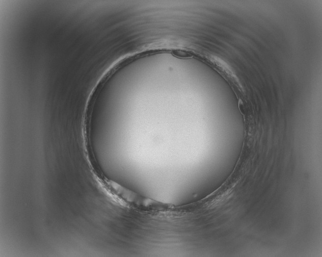 X0000073520942200608281729