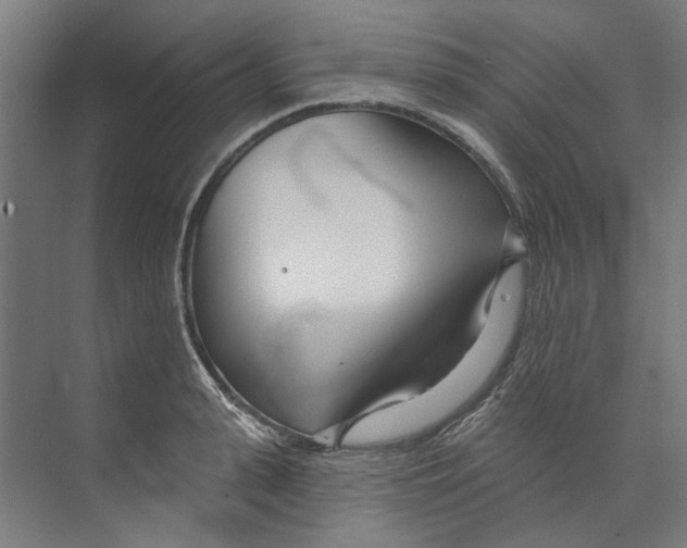 X0000073520943200608281729