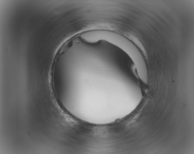 X0000073520944200608281729