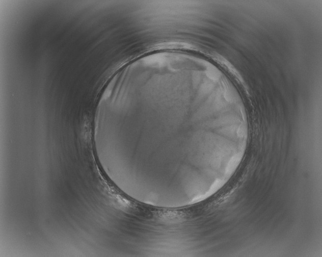 X0000073520945200608281729