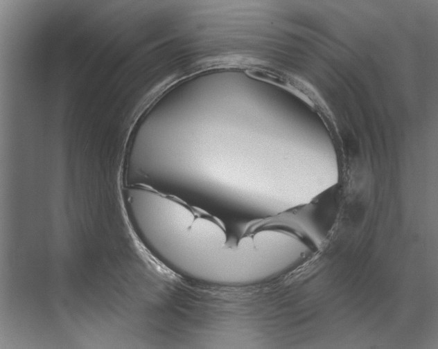 X0000073520946200608281729