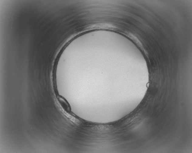 X0000073520947200608281729