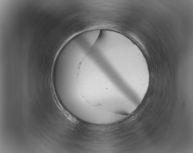 X0000073520948200608281729